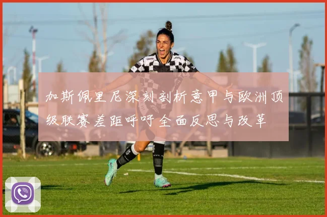 加斯佩里尼深刻剖析意甲与欧洲顶级联赛差距呼吁全面反思与改革