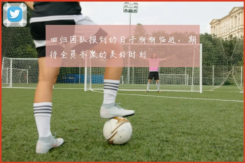 回归团队报到的日子渐渐临近，期待全员齐聚的美好时刻