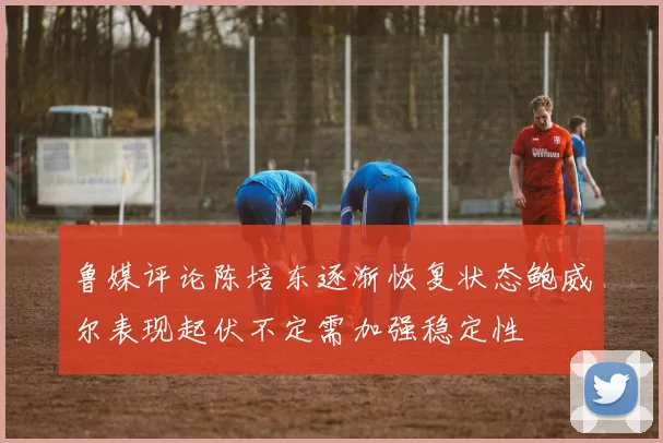 鲁媒评论陈培东逐渐恢复状态鲍威尔表现起伏不定需加强稳定性