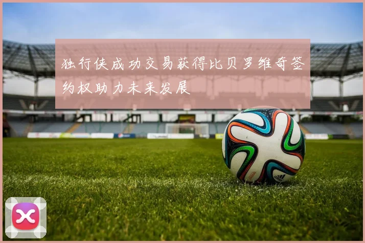独行侠成功交易获得比贝罗维奇签约权助力未来发展