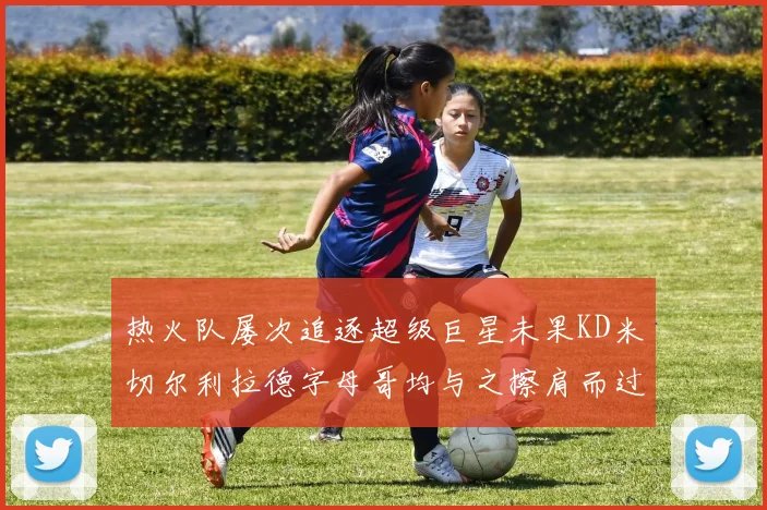 热火队屡次追逐超级巨星未果KD米切尔利拉德字母哥均与之擦肩而过